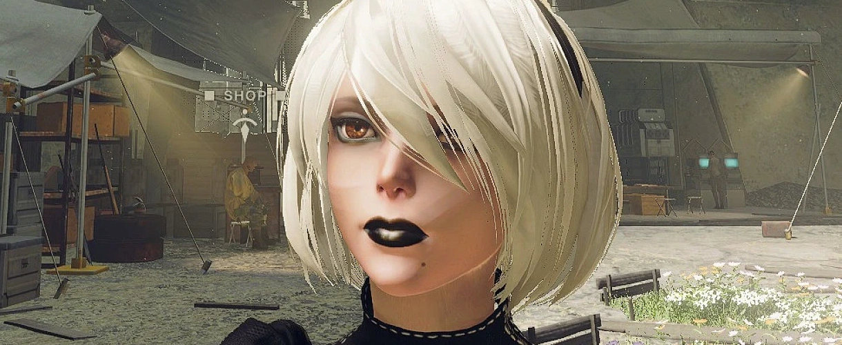 2B Гот