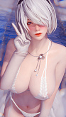2B Nier фотки v.1.77540910008