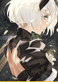 2B NieR Automata v 1.79151071