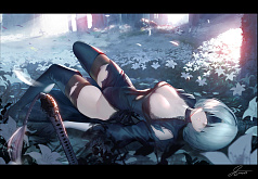 2B Nier фотки v.1.77540910008