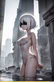 2B NieR Automata v 1.79151071