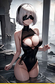 2B NieR Automata v 1.79151071