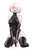 2B Nier фотки v.1.77540910008